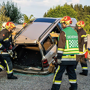 Bild für Kategorie Sicherheitsassistent Modul 2